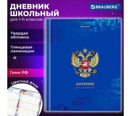Дневники универсальные