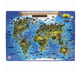 Аксессуары и предметы интерьера