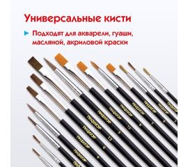 Наборы школьных кистей из натурального волоса