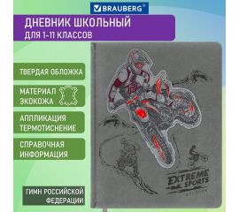 Дневники универсальные