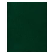 Тетрадь 80л., А4 клетка BG, бумвинил, зеленый