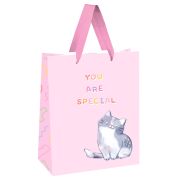 Пакет подарочный 18*23*10см MESHU «You are special», выб. лак, белый крафт