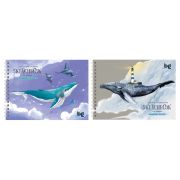 Скетчбук 60л. А5 на гребне BG «Киты», 120г/м2