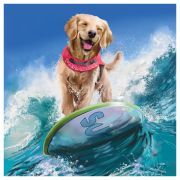 Пазл  64 эл. ТРИ СОВЫ «Серфер»