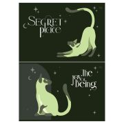 Альбом для рисования 40л., А4, на скрепке BG «Secret Place», выб. лак