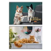 Альбом для рисования 40л., А4, на гребне BG «Домашние питомцы»