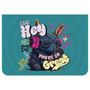 Папка для труда 2 отделения, А4, ArtSpace «Cool me», пластик, на молнии