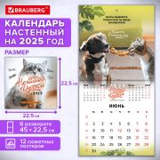 Календарь настенный перекидной 2025г, BRAUBERG, 12 листов, 22,5х22,5см, МИНИ, «Не падай духом», 116178