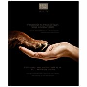 Тетрадь А5 48л. ПЗБМ скоба, клетка, конгрев, TWIN лак, Посмотри на меня (микс в спайке), 23805