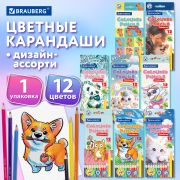 Карандаши цветные «АССОРТИ 8 ДИЗАЙНОВ 3+ лет», 12 цветов, трехгранные, BRAUBERG, 182055