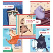 Тетрадь А5 48л. HATBER скоба, линия, обложка картон, Кот-обормот (микс в спайке), 080206, 48Т5В2