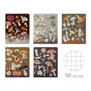 Тетрадь А5 48л. BRUNO VISCONTI скоба, клетка, Soft Touch, фольга, Грибная феерия (5 в, 7-48-1325