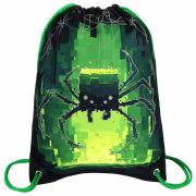 Мешок для обуви BRAUBERG PREMIUM, карман, подкладка, светоотражайка, 43х33 см, Digital spider, 273444