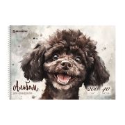 Альбом для акварели А4 40л., бумага 200 г/м, гребень, твердая подложка, BRAUBERG, Дизайн 1, 116885