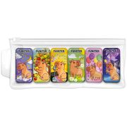 Корректирующая лента FUNSTER, 5мм х 5м, КОМПЛЕКТ 6 штук, пенал с zip lock замком, 273021