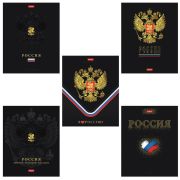 Тетрадь А5 48л. HATBER скоба, клетка, матовая ламинация, 3D фольга, 3D лак, Россия (м, 48Т5лофлВ1