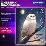 Дневник 1-11 класс 48 л., кожзам (твердая с поролоном), печать, наклейки, BRAUBERG, «Сова», 106947