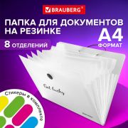Папка-органайзер на резинке 8 отделений, BRAUBERG «Glassy», А4, прозрачная, 271928