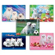 Альбом для рисования, А4, 40 листов, спираль, обложка картон, HATBER, 205х300 мм, «Любимцы», 40А4Всп, A28209