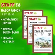 Рамка 21х30 см со стеклом, КОМПЛЕКТ 3 штуки, багет 16 мм, дерево, STAFF «Sonata», цвет орех, 391387