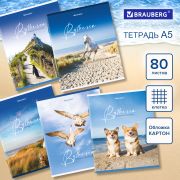 Тетрадь А5, 80 л., BRAUBERG, скоба, клетка, обложка картон, «By the Sea», 404410