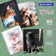Тетрадь А5 80 л. BRAUBERG, гребень, клетка, глянцевая ламинация, «Довольные Коты» (микс в спайке), 404417