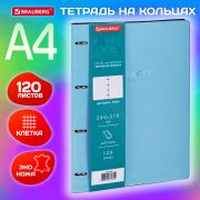 Тетрадь на кольцах БОЛЬШАЯ А4 (240х310 мм), 120 л., под кожу, BRAUBERG VISTA, «Пастельная», 404514
