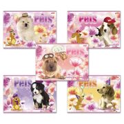 Альбом для рисования, А4, 24 листа, скоба, обложка картон, HATBER, 205х290 мм, «Любимцы», 24А4В, A090770