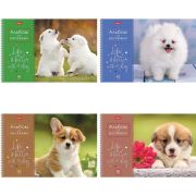 Альбом для рисования А4 40 л., спираль, обложка картон, HATBER, 205х290 мм, «Щенки» (4 вида в спайке), 40А4Всп