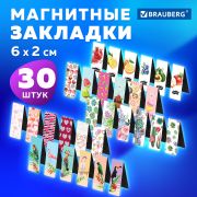 Закладки для книг МАГНИТНЫЕ, «MIX», набор 30 шт., 60x20 мм, BRAUBERG, 113175