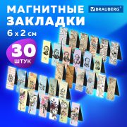 Закладки для книг МАГНИТНЫЕ, «MIX 2», набор 30 шт., 60x20 мм, BRAUBERG, 113178
