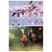 Альбом для рисования, А4, 32 листа, скоба, обложка картон, BRAUBERG, 200х283 мм, «Живая природа» (2 вида), 103683