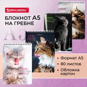 Блокнот А5 (146х206 мм), 80 л., гребень, картон, клетка, BRAUBERG, «Довольные коты», 114374