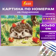 Картина по номерам 40х50 см, ОСТРОВ СОКРОВИЩ «Ежик», на подрамнике, акриловые краски, 3 кисти, 662490