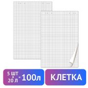 Блокноты для флипчарта ПЛОТНЫЕ 80 г/м2, BRAUBERG, КОМПЛЕКТ 5 штук, 20 листов, клетка, 67,5х98 см, 124097