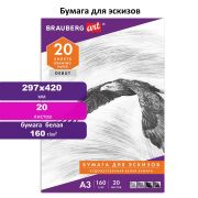 Папка для рисования БОЛЬШОГО ФОРМАТА А3, 20 л., 160 г/м2, BRAUBERG, 297х420 мм, «Орел», 125228