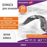 Папка для рисования А4, 20 л., 160 г/м2, BRAUBERG, 210х297 мм, «Орел», 125230