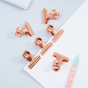 Зажимы-бульдоги для бумаг 25мм, MESHU «Rose Gold», 6шт., бокс с европодвесом