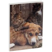 Фотоальбом 36 фото 10*15см, ArtSpace «Friends», мягкая обложка