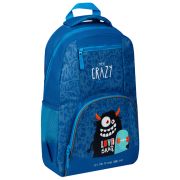 Рюкзак ArtSpace School «Crazy», 44*31*16см, 1 отделение, 4 кармана, уплотненная спинка