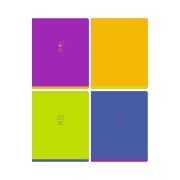Тетрадь 48л., А5, клетка BG «Monocolor. Chat», неоновая краска