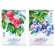 Скетчбук 60л., А6 ArtSpace «Fruit Collection», на гребне, 120г/м2