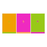 Тетрадь 80л., А4, клетка BG «Monocolor. Chat», неоновые краски