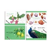 Альбом для рисования 48л., А4, на гребне BG «Stay magical», эконом